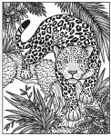 Wild Animals Magic Painting Book spread