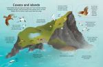 Extreme Planet: Journey across the Arctic spread