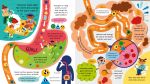 Step inside Science: Your Body spread