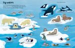 First Sticker Book Wild Animals spread