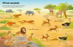 First Sticker Book Wild Animals spread
