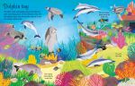First Sticker Book Coral Reef spread