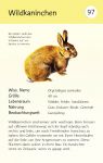 Natur-Entdecker-Karten: Tiere im Garten innenansicht