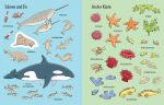 Mein erstes Stickerbuch: Im Meer innenansicht