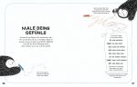 Mach dir keinen Kopf! innenansicht