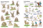 Mein erstes Stickerbuch: Im Zoo innenansicht