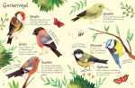 Usborne Minis - Naturführer: Vögel innenansicht