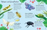 Usborne Minis – Naturführer: Krabbeltiere innenansicht