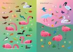 Mein Immer-wieder-Stickerbuch: Bei den Flamingos innenansicht