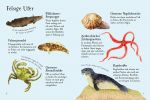 Usborne Minis Naturführer: Am Meer innenansicht