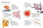 Usborne Minis Naturführer: Am Meer innenansicht