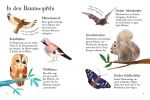 Usborne Minis Naturführer: Im Wald innenansicht