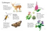 Usborne Minis Naturführer: Im Wald innenansicht