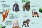 Usborne Minis Naturführer: Zootiere innenansicht