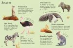 Usborne Minis Naturführer: Zootiere innenansicht