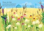 Mein Immer-wieder-Stickerbuch: Wildblumen innenansicht