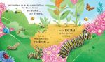 Schau mal, wie ich wachse! Von der Raupe zum Schmetterling innenansicht