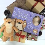 That's not my teddy... book and toy spread