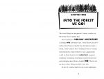 Anisha, Accidental Detective: Holiday Adventure spread