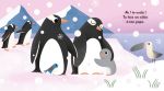 Es-tu là, petit pingouin ? page intérieure