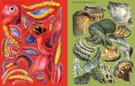 Construis tes animaux dangereux page intérieure