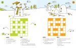 100 Children's Crosswords: Christmas spread