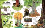 Les arbres page intérieure