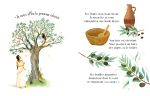 Mes premiers mythes grecs page intérieure