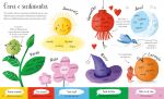 Cores miolo