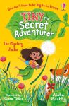 Tiny the Secret Adventurer: The Mystery Visitor book cover
