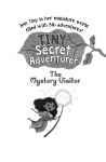 Tiny the Secret Adventurer: The Mystery Visitor spread