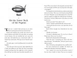 The Book of Stolen Dreams spread