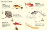 Fish to Spot spread
