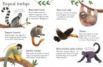 Zoo Animals to Spot spread