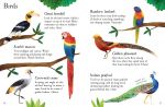 Zoo Animals to Spot spread