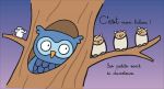 Où est mon hibou ? page intérieure