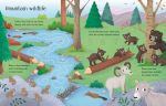 Wipe-Clean Nature Activities spread