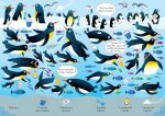 Sous la mer page intérieure