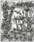 Wildflowers Magic Painting Book spread