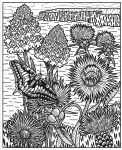 Wildflowers Magic Painting Book spread
