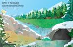 Les animaux sauvages page intérieure