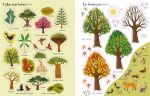 Bomen spread