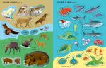 Animali selvatici pagina interna