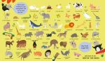 My First Lift-the-flap Look and Find Animals spread