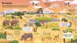 Animais em extinção miolo