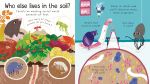 First Questions & Answers: Why do we need worms? spread