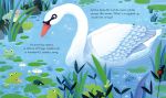 Peep Inside the Pond spread