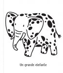 Allo zoo pagina interna