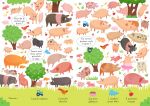 À la ferme page intérieure