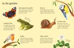 Urban Wildlife to Spot spread